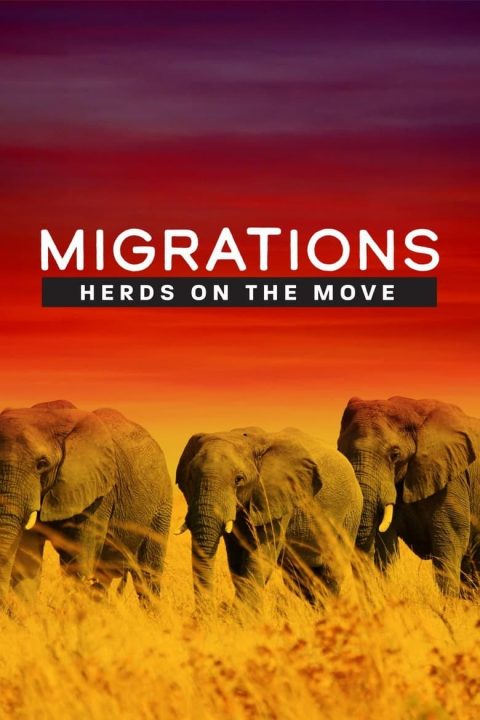 Plakát Migrations: Herds on the Move