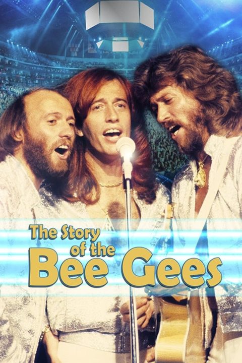 Plakát The Story of The Bee Gees