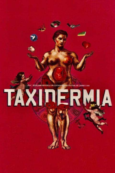 Taxidermia