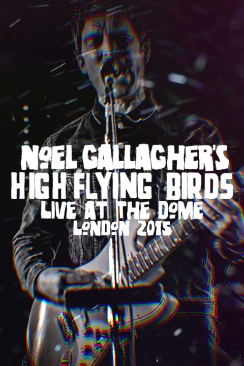 Plakát Noel Gallagher's High Flying Birds - Live at The Dome, London