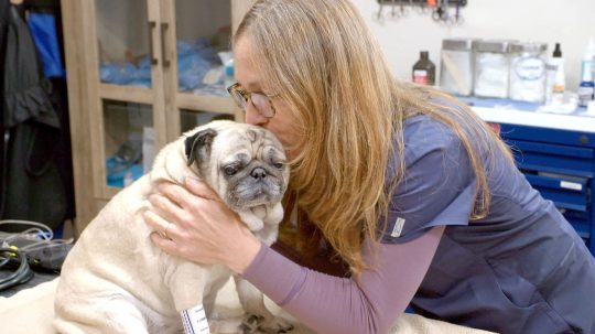 Dr. Oakley, Yukon Vet - 11. epizoda