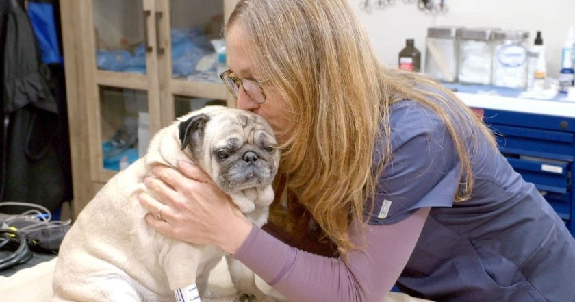 Dr. Oakley, Yukon Vet