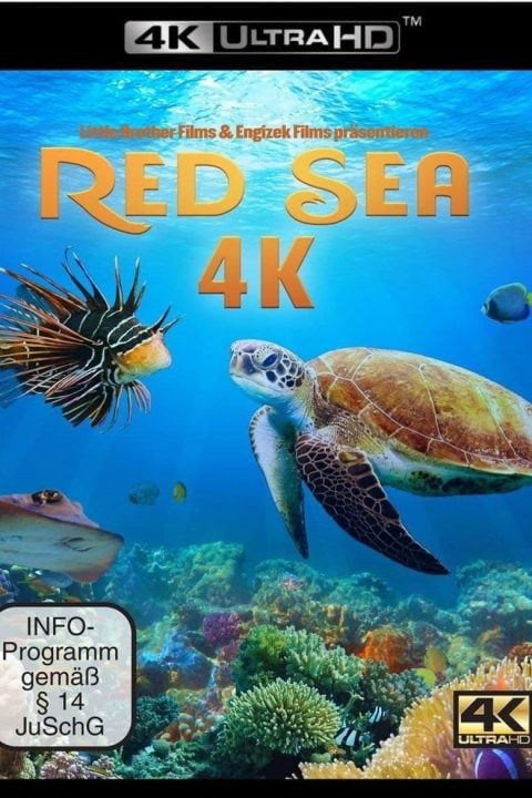 Plakát Red Sea