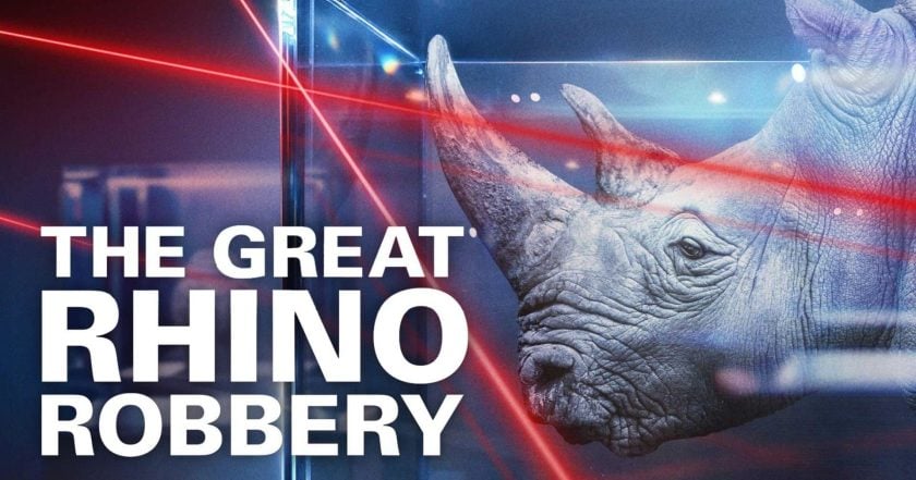 The Great Rhino Robbery