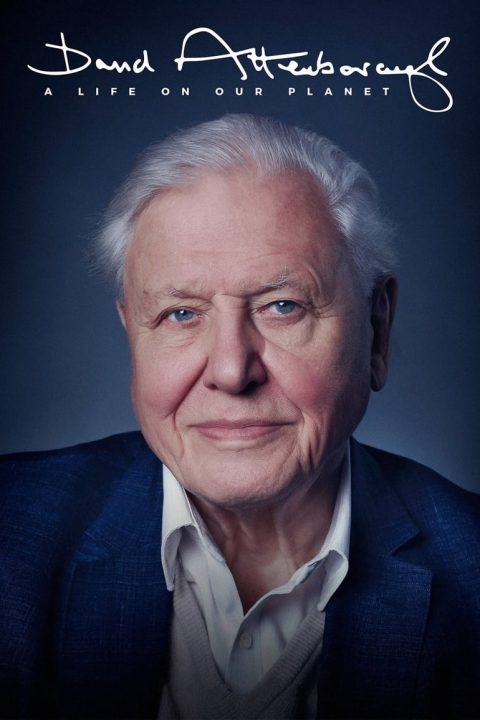 Plakát David Attenborough: Život na naší planetě