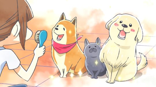 犬と猫どっちも飼ってると毎日たのしい - 13. epizoda