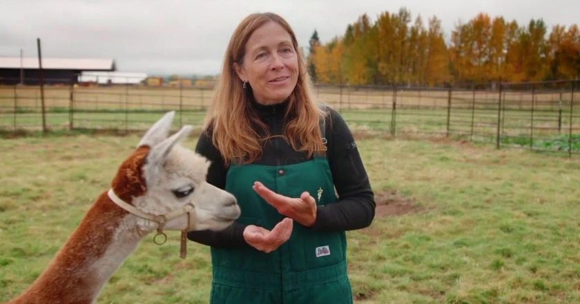 Dr. Oakley, Yukon Vet