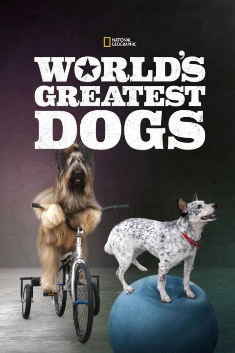 Plakát World's Greatest Dogs