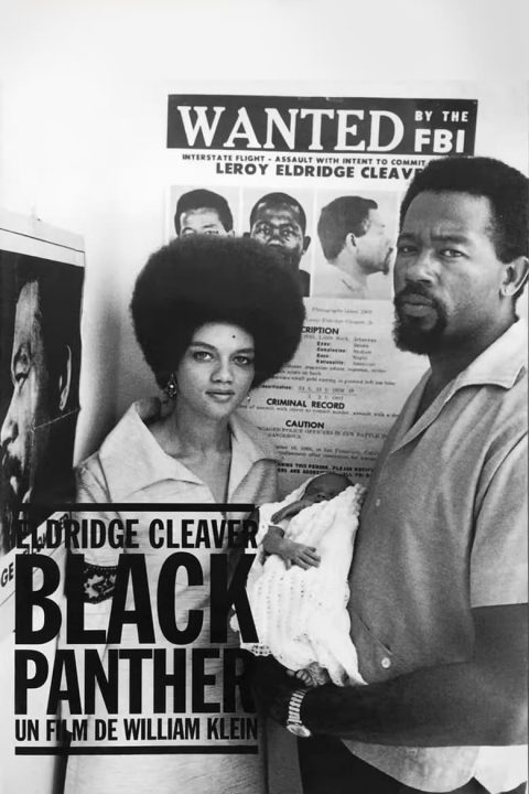 Plakát Eldridge Cleaver, Black Panther