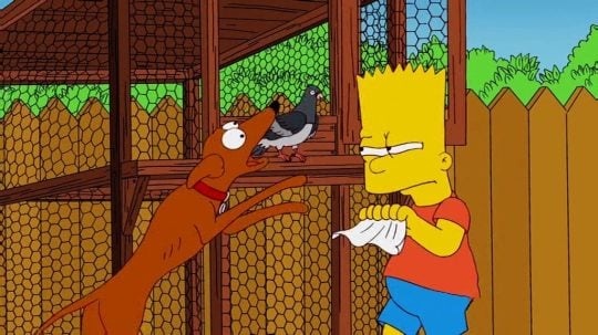 Simpsonovi - Lepší holub v hrsti než pes v boudě