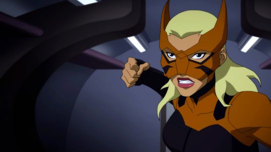 Young Justice - 8. epizoda