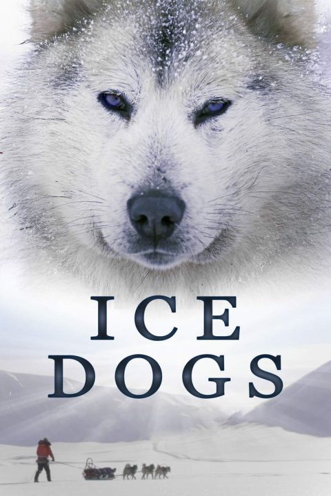 Plakát Ice Dogs: The Only Companions Worth Having