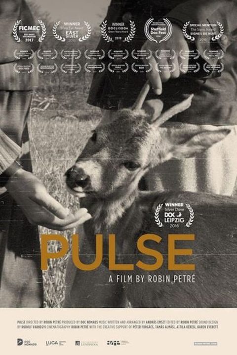 PULSE