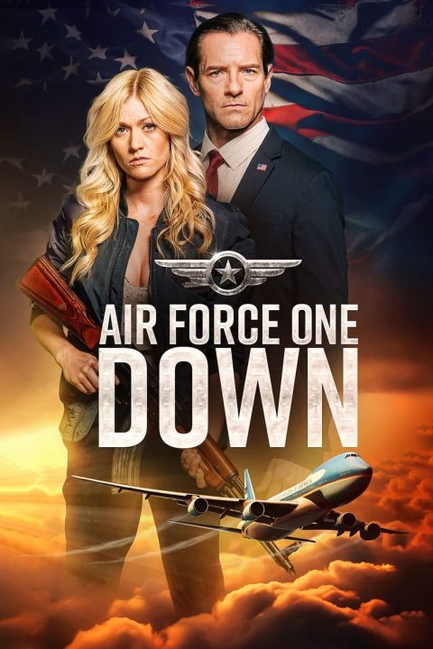 Plakát Air Force One Down