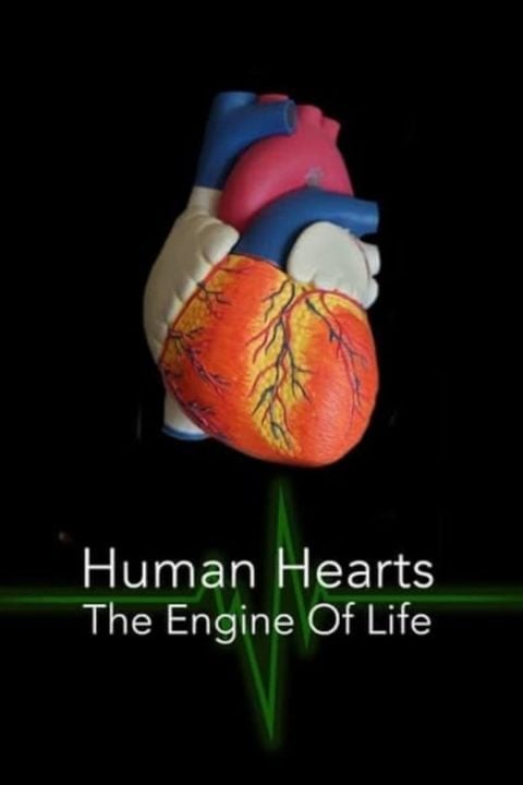 Plakát Human Hearts: The Engine of Life