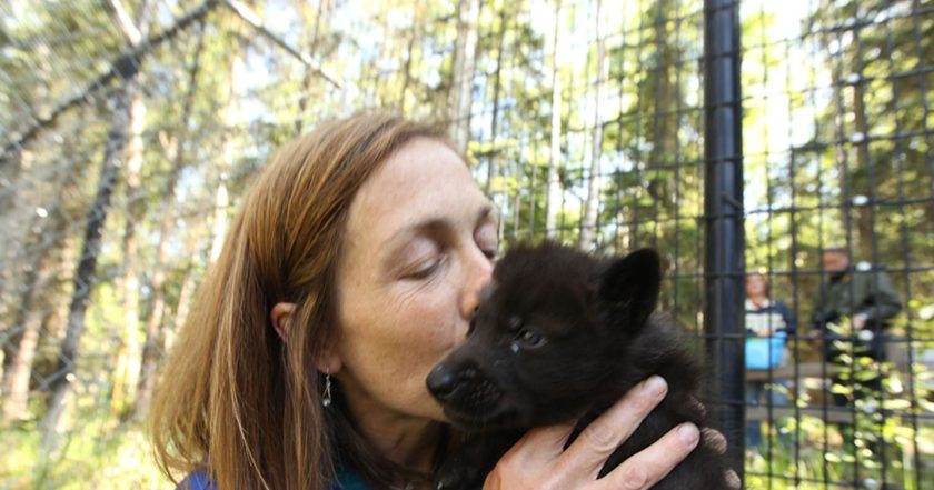 Dr. Oakley, Yukon Vet