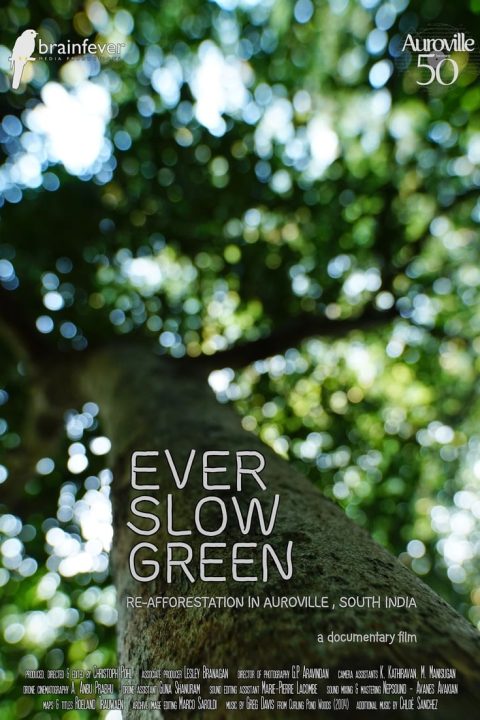 Plakát Ever Slow Green