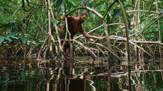 Umění přežít: Amazonie - Bludiště v močálech