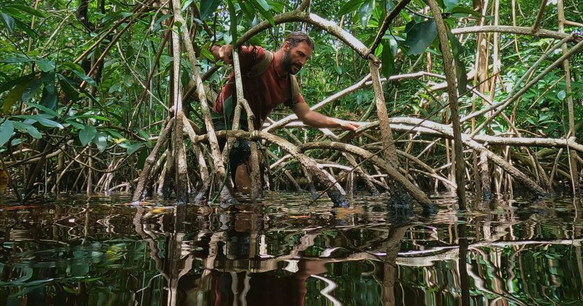 Umění přežít: Amazonie