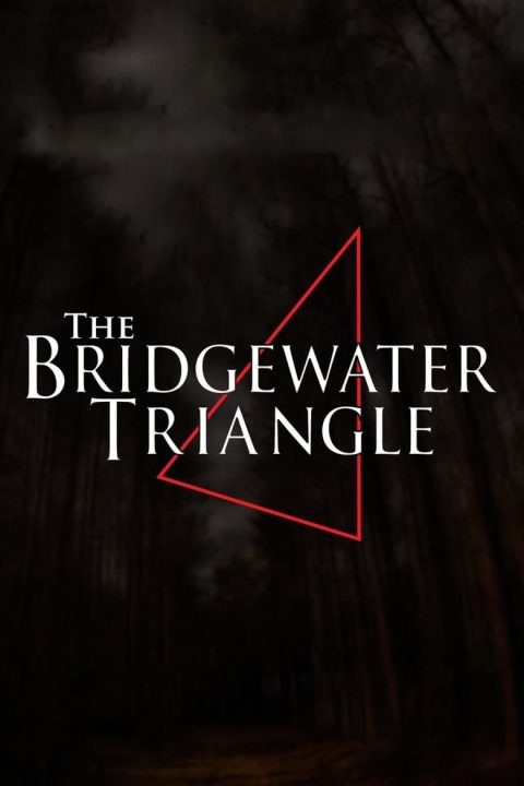 Plakát The Bridgewater Triangle