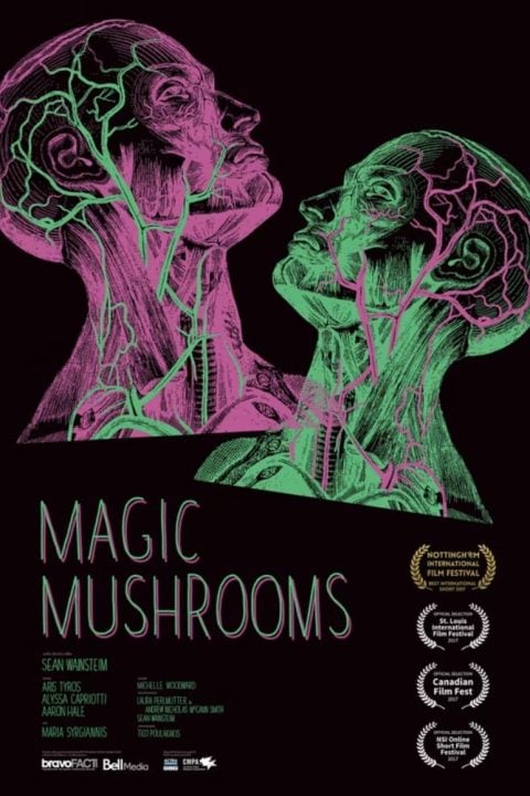 Plakát Magic Mushrooms