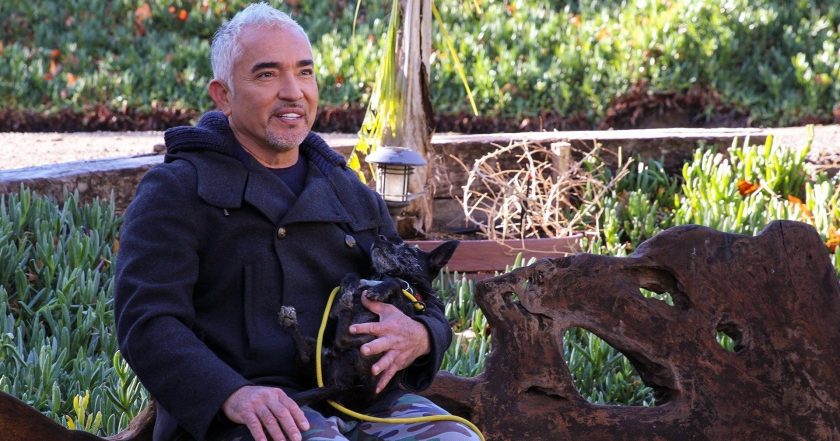 Cesar Millan: Jaký pán, takový pes