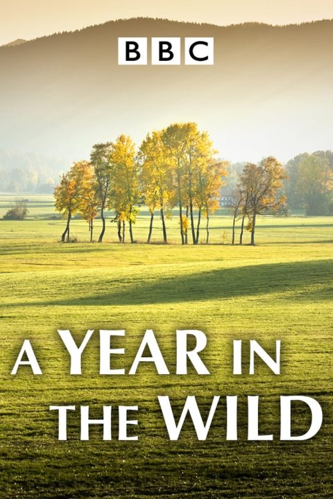 A Year in the Wild