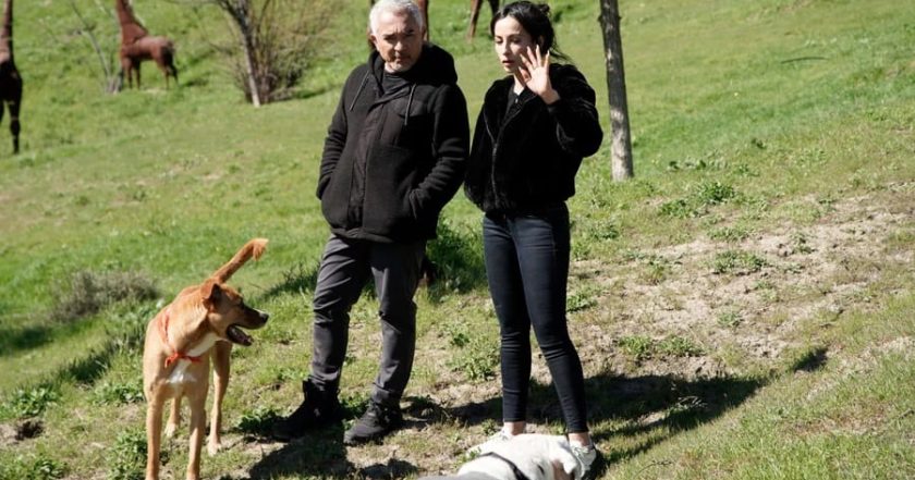 Cesar Millan: Jaký pán, takový pes