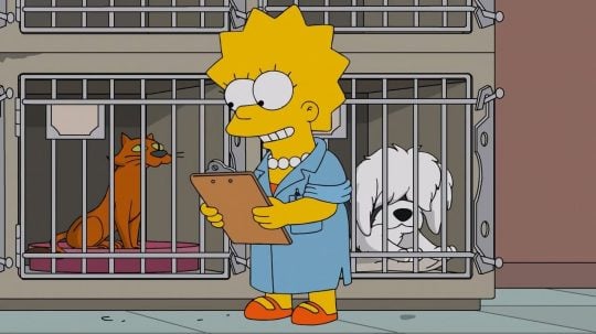 Simpsonovi - Veterinářka Líza