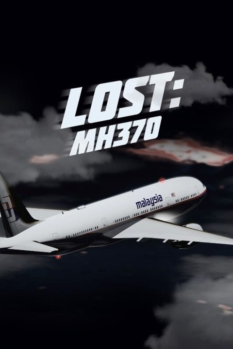 Plakát Lost: MH 370