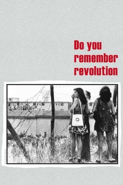 Do You Remember Revolution?