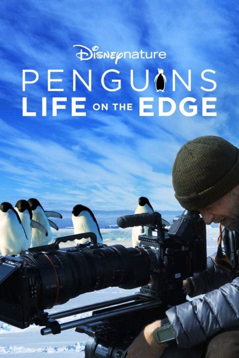 Plakát Penguins: Life on the Edge