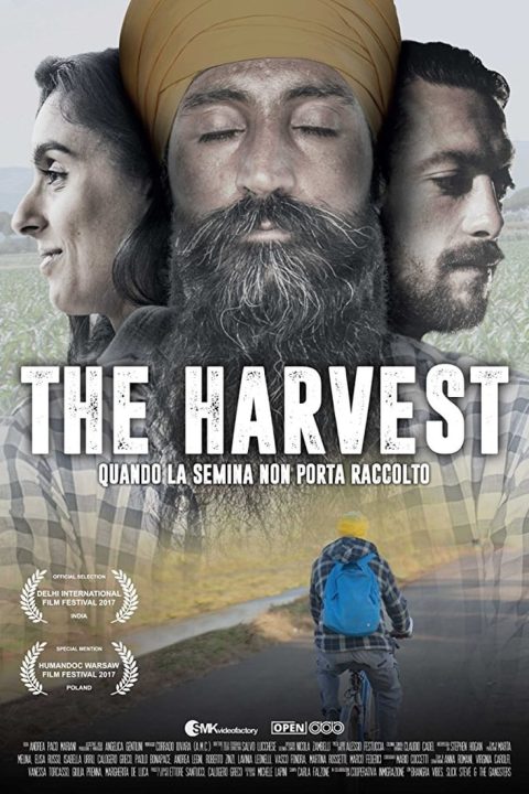 Plakát The Harvest