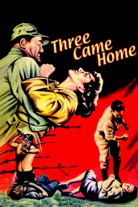 Three Came Home