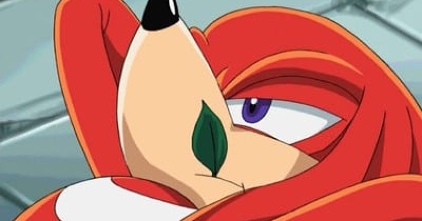 Sonic X