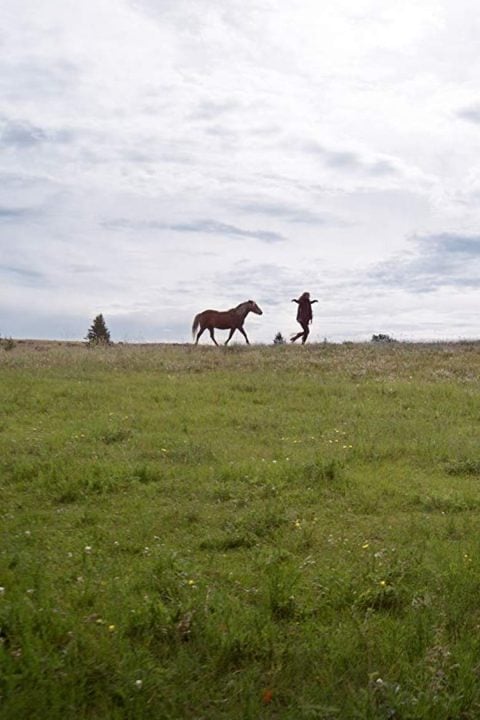 Plakát Herd