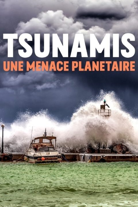 Plakát Tsunami: Globální hrozba