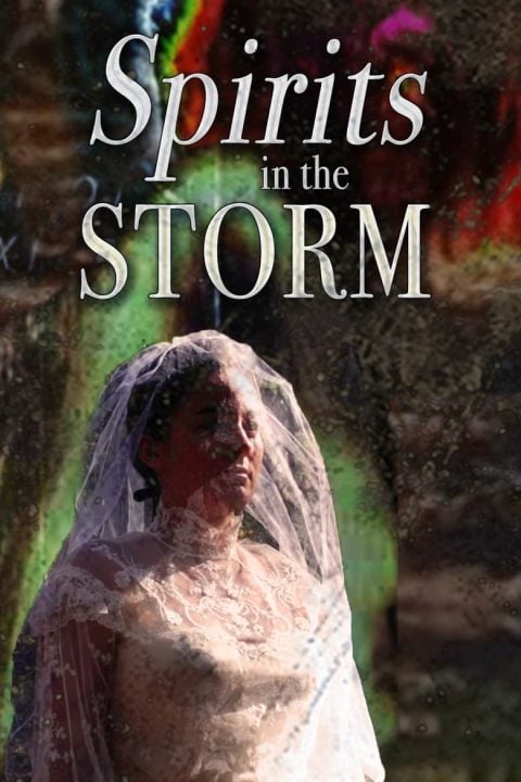 Plakát Spirits in the Storm