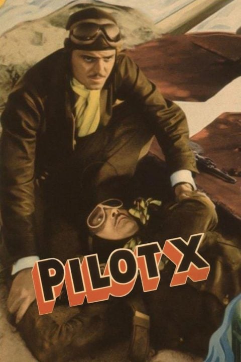 Plakát Pilot X