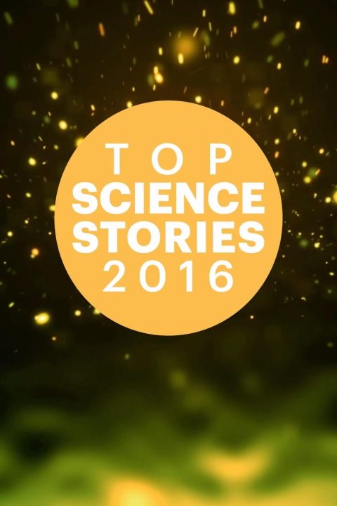 Plakát Top Science Stories Of 2016