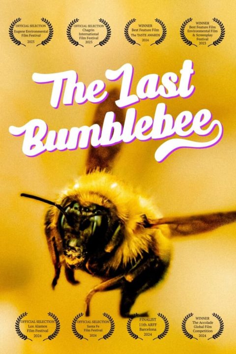 Plakát The Last Bumblebee