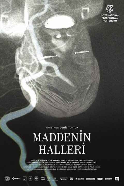 Maddenin Halleri