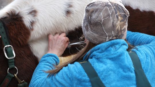 Dr. Oakley, Yukon Vet - 2. epizoda