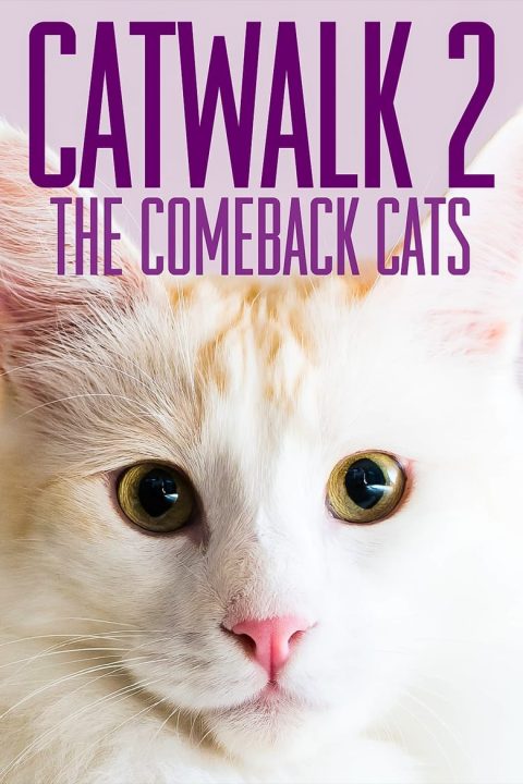 Plakát Catwalk 2: The Comeback Cats