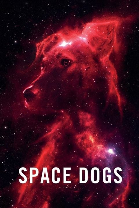 Plakát Space Dogs