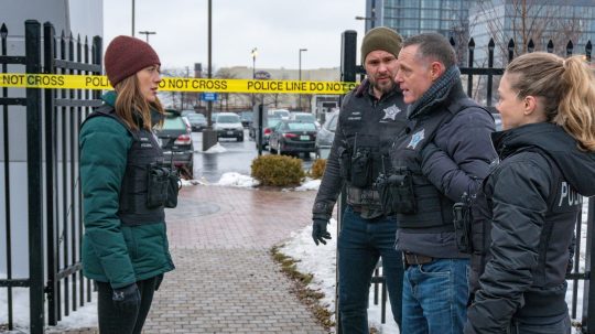 Policie Chicago - Ztracené mládí