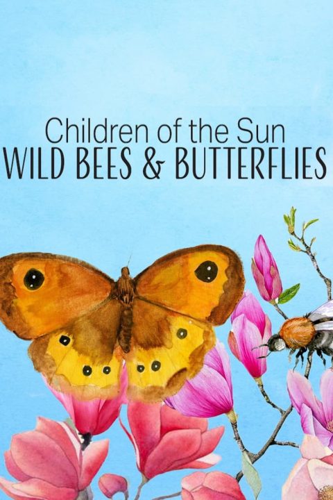 Children of the Sun - Wild Bees & Butterflies