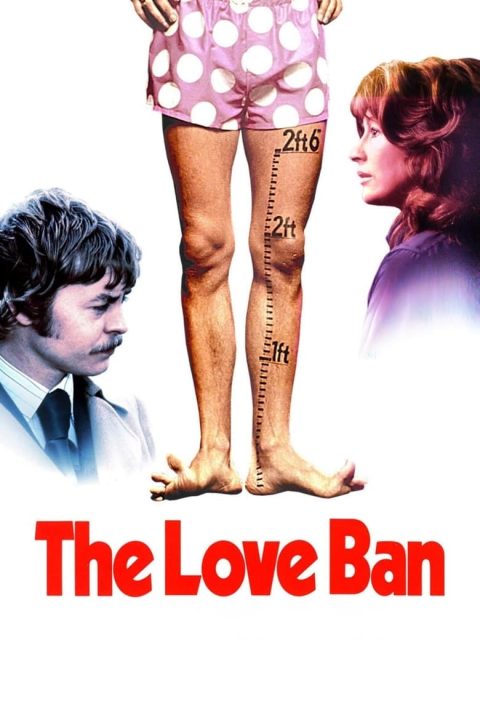 Plakát The Love Ban