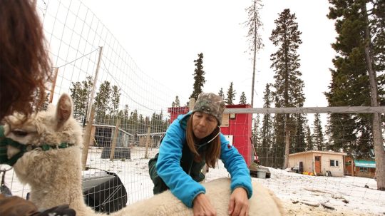 Dr. Oakley, Yukon Vet - 6. epizoda