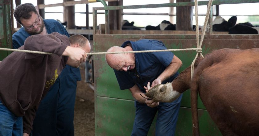 The Incredible Dr. Pol